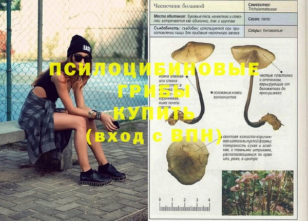 крисы Иннополис