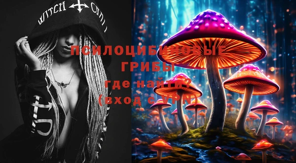 крисы Иннополис