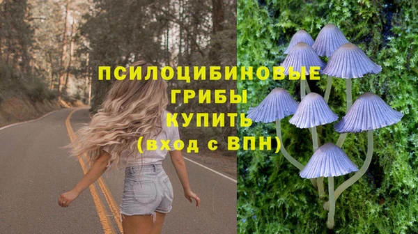 крисы Иннополис