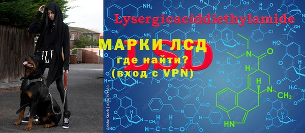 мет Инсар