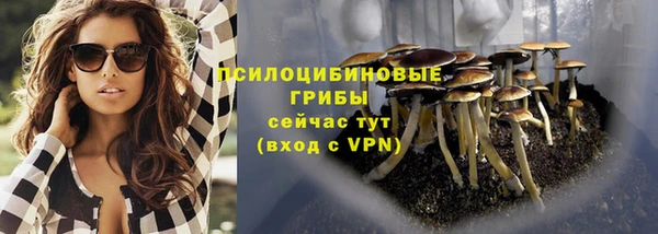 стафф Тайга