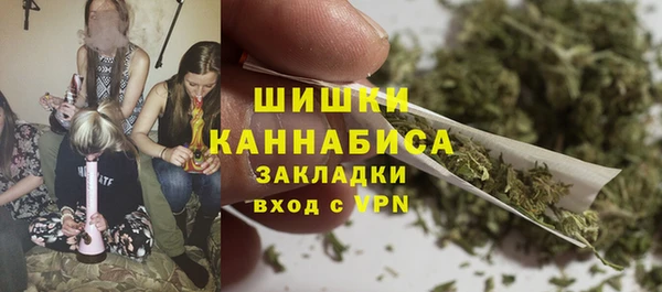 мет Инсар