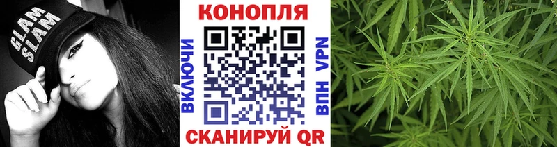 где купить Куса МАРИХУАНА конопля